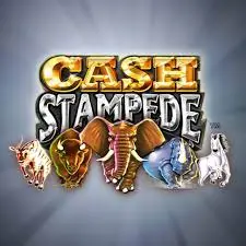 Cash Stampede Cash Stampede