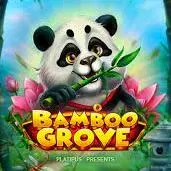 Bamboo Grove
