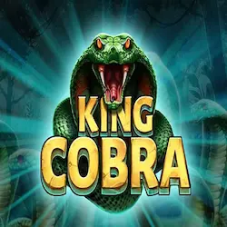 Cobra King Cobra King