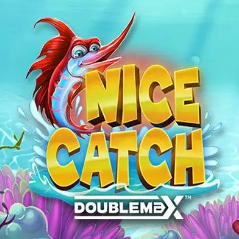 Nice Catch DoubleMax Nice Catch DoubleMax