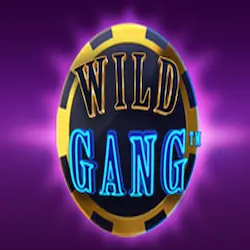 Wild Gang Wild Gang