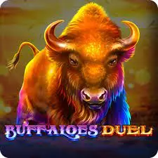 Buffaloes Duel Buffaloes Duel