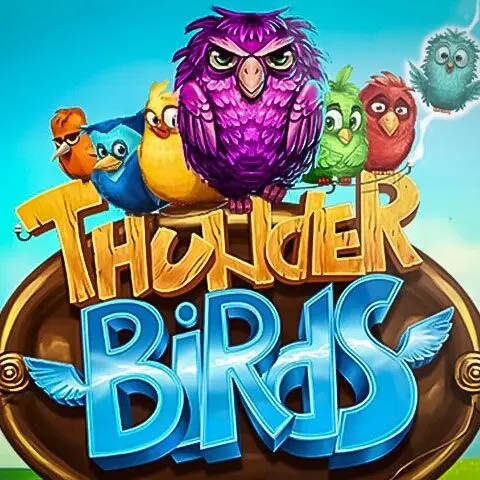 THUNDER BIRDS POWER ZONES THUNDER BIRDS POWER ZONES