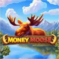 Money Moose Money Moose
