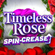 Timeless Rose