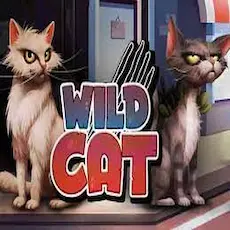 Wild Cat Wild Cat
