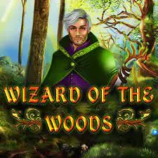 Wizard of the Woods Wizard of the Woods